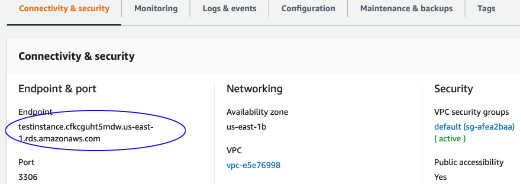 RDS DB Instance Endpoint